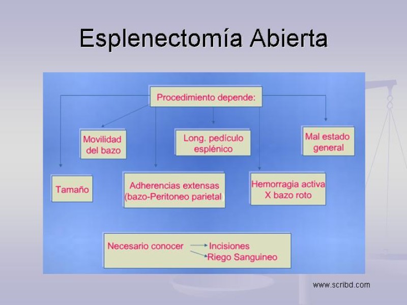 Diapositiva 12 de Técnica Quirúrgica Esplenectomía