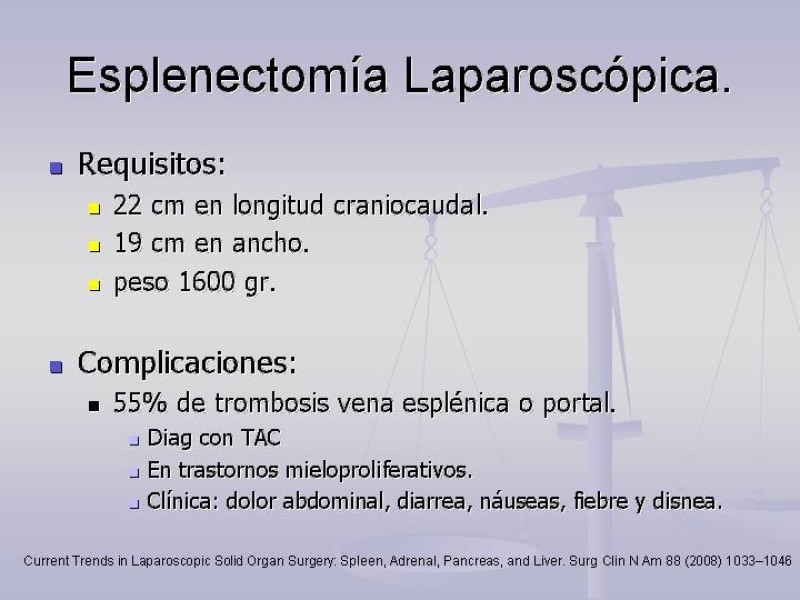 Diapositiva 25 de Técnica Quirúrgica Esplenectomía