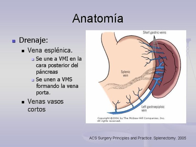 Diapositiva 7 de Técnica Quirúrgica Esplenectomía