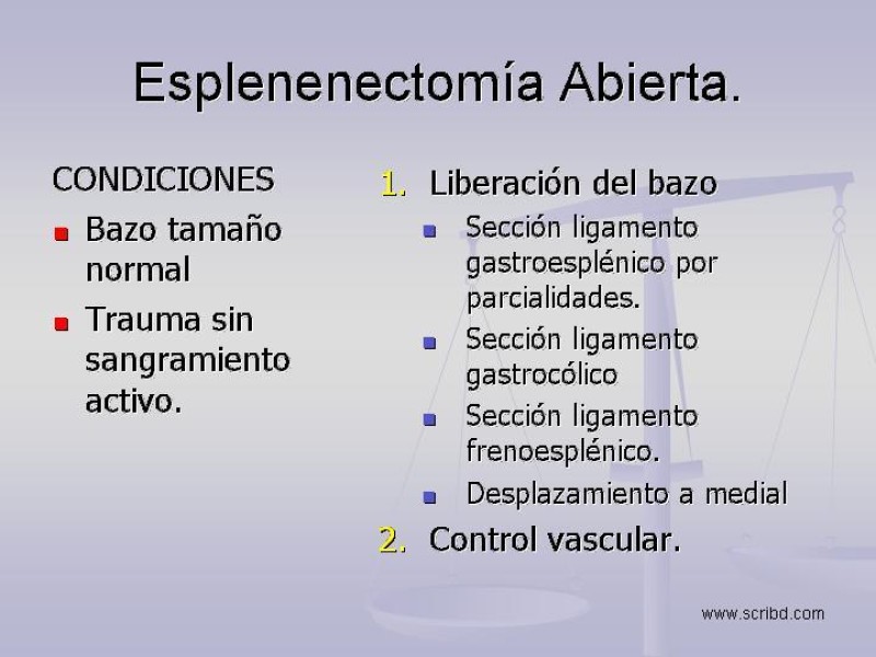Diapositiva 13 de Técnica Quirúrgica Esplenectomía