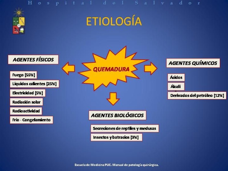 Diapositiva 5 de Gran Quemado