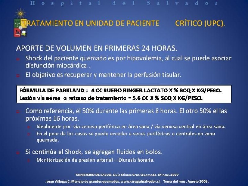 Diapositiva 21 de Gran Quemado