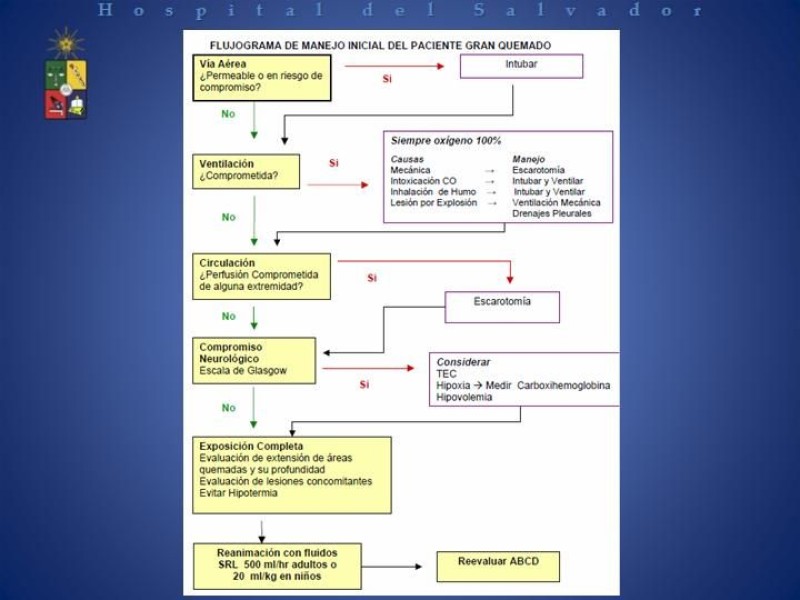 Diapositiva 35 de Gran Quemado