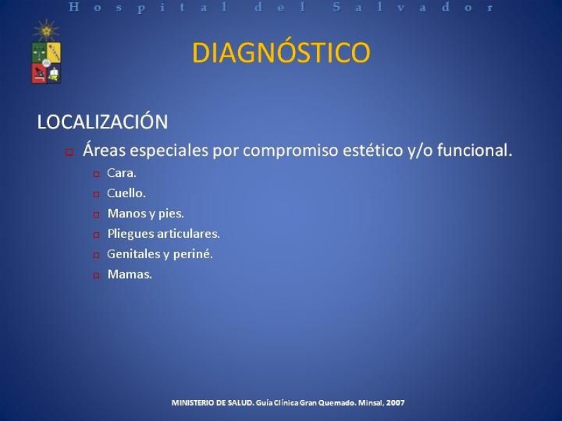 Diapositiva 9 de Gran Quemado