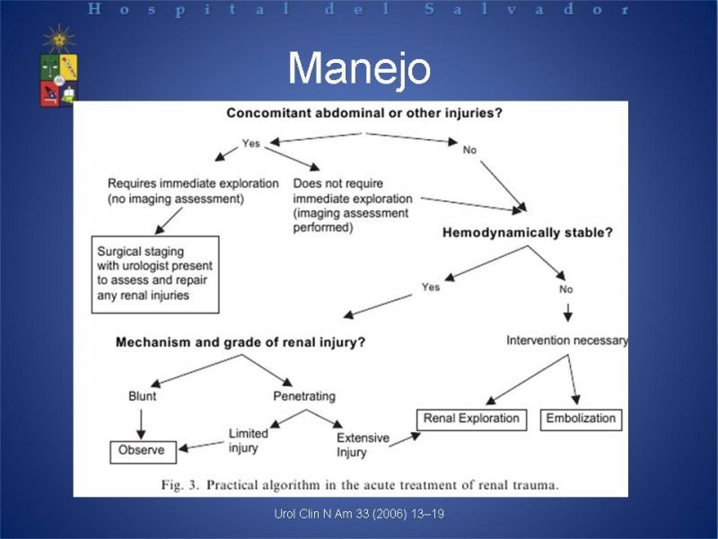 Diapositiva 11 de Trauma Renal