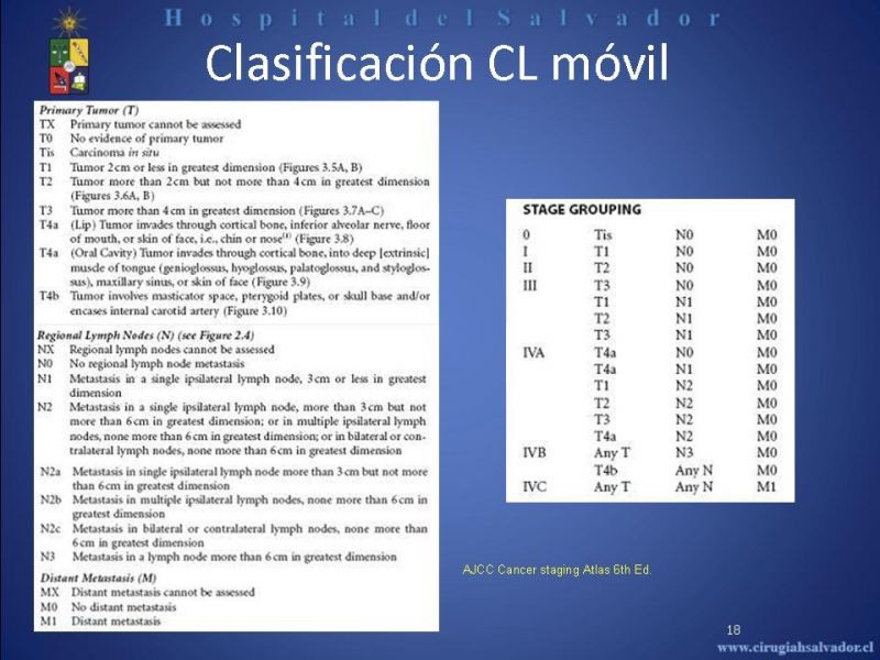 Diapositiva 17 de Cáncer de Lengua