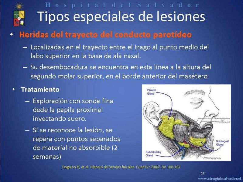 Diapositiva 25 de Evaluación y manejo de lesiones faciales