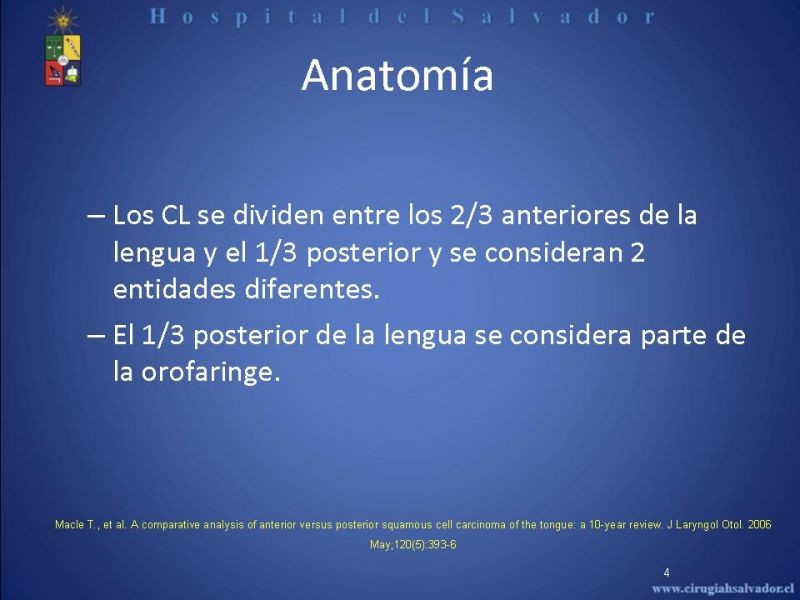 Diapositiva 3 de Cáncer de Lengua