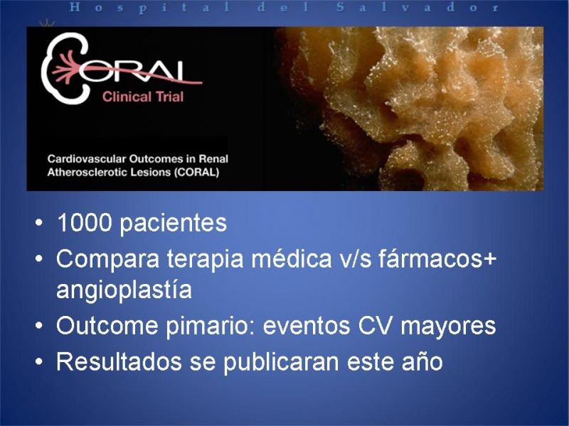 Diapositiva 25 de Hipertensión renovascular