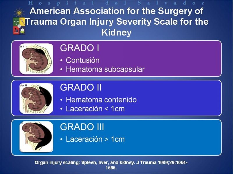 Diapositiva 6 de Trauma Renal