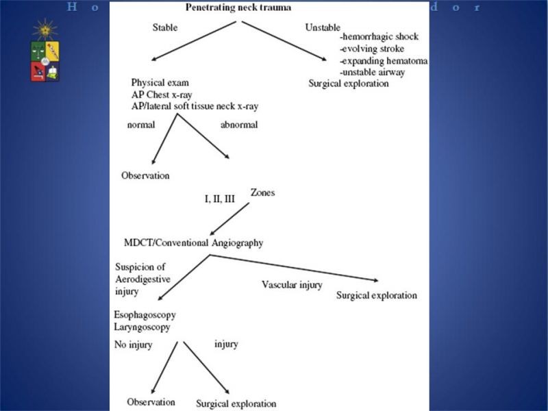 Diapositiva 31 de Lesiones Cervicales Traumáticas
