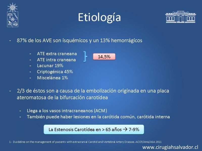 Diapositiva 2 de Estenosis Carotídea