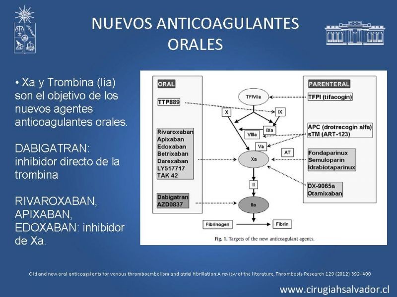 Diapositiva 5 de Nuevos anticoagulantes orales