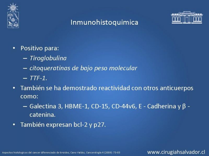 Diapositiva 18 de Cáncer de tiroides no papilar