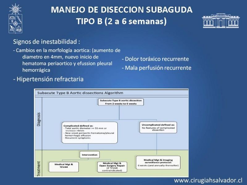 Diapositiva 29 de Disección aórtica tipo B manejo actual