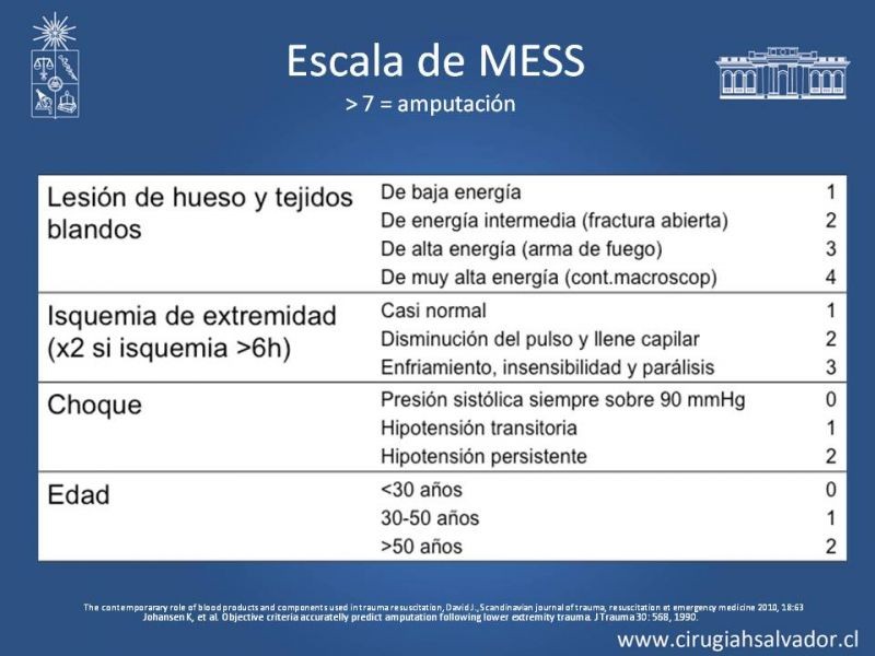 Diapositiva 6 de Cobertura de miembro inferior