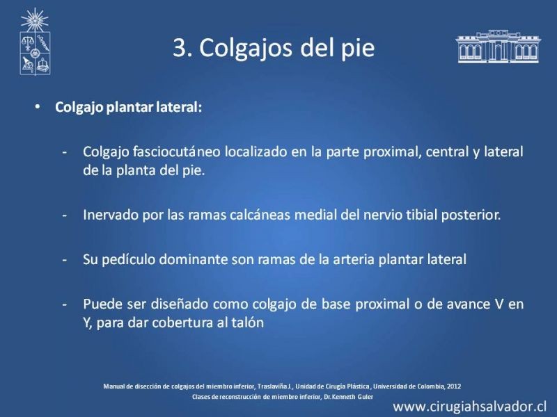 Diapositiva 43 de Cobertura de miembro inferior