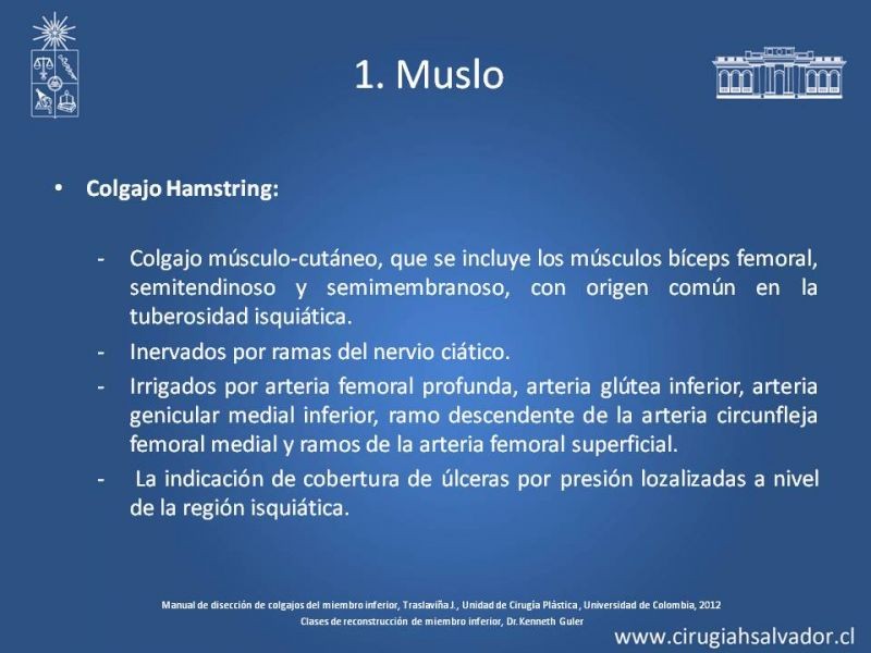 Diapositiva 18 de Cobertura de miembro inferior