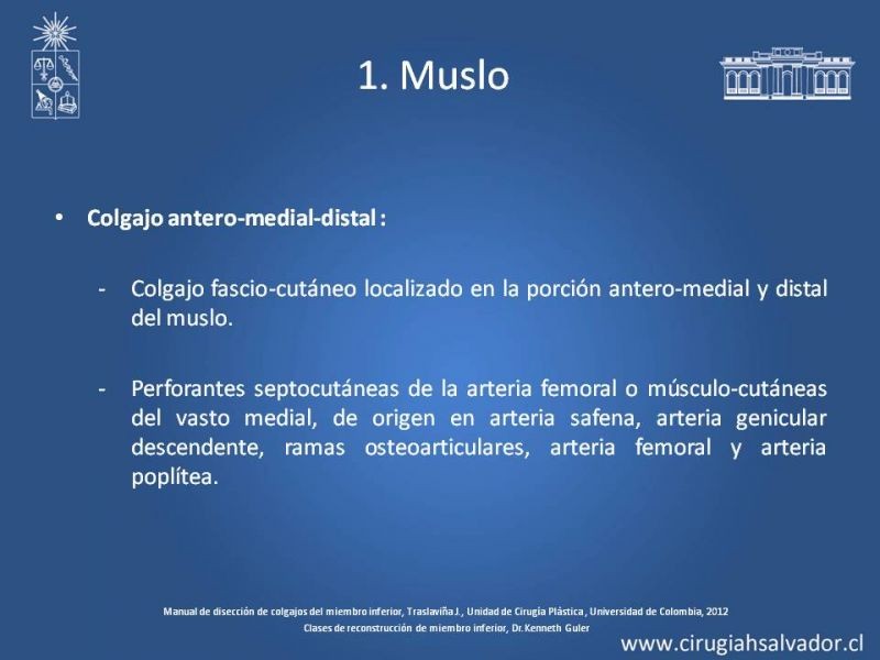 Diapositiva 25 de Cobertura de miembro inferior