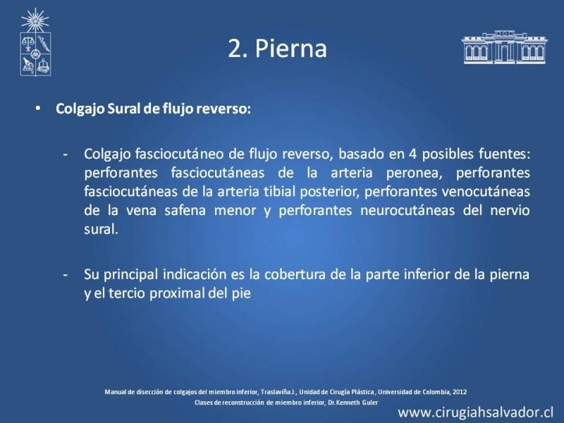 Diapositiva 41 de Cobertura de miembro inferior