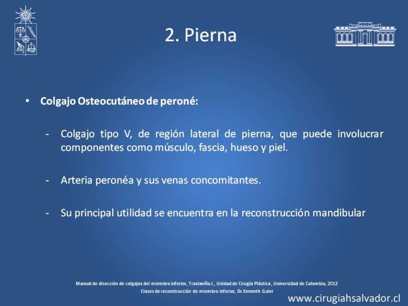 Diapositiva 33 de Cobertura de miembro inferior