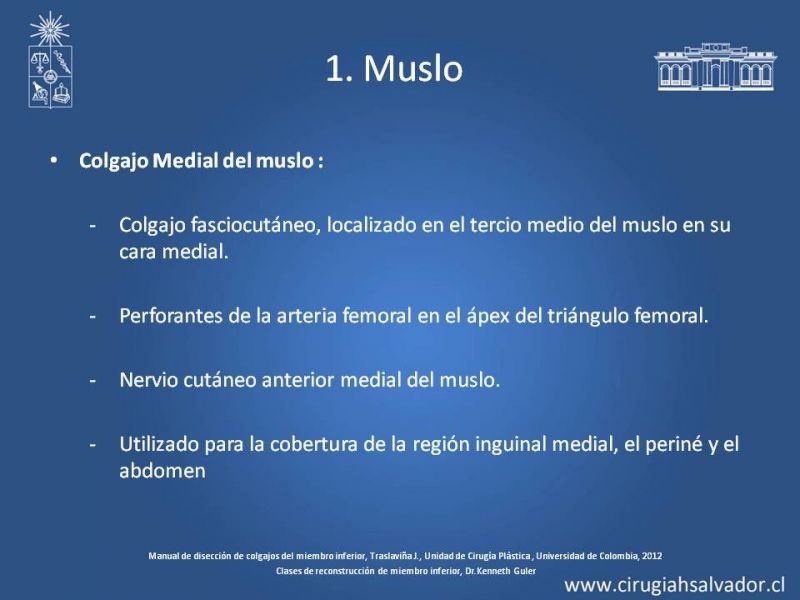 Diapositiva 23 de Cobertura de miembro inferior