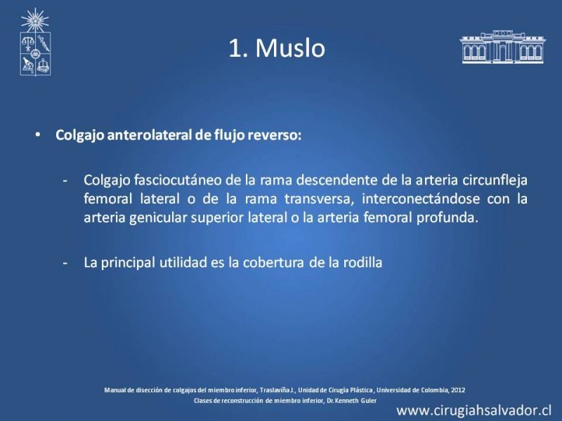 Diapositiva 14 de Cobertura de miembro inferior