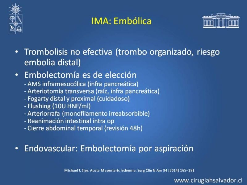 Diapositiva 27 de Isquemia Mesentérica