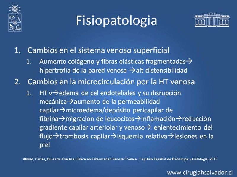 Diapositiva 3 de Insuficiencia venosa superficial