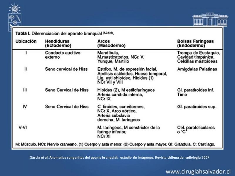 Diapositiva 5 de Quistes Branquiales