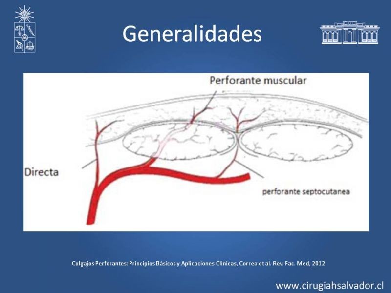 Diapositiva 9 de Usos de Colgajos Perforantes
