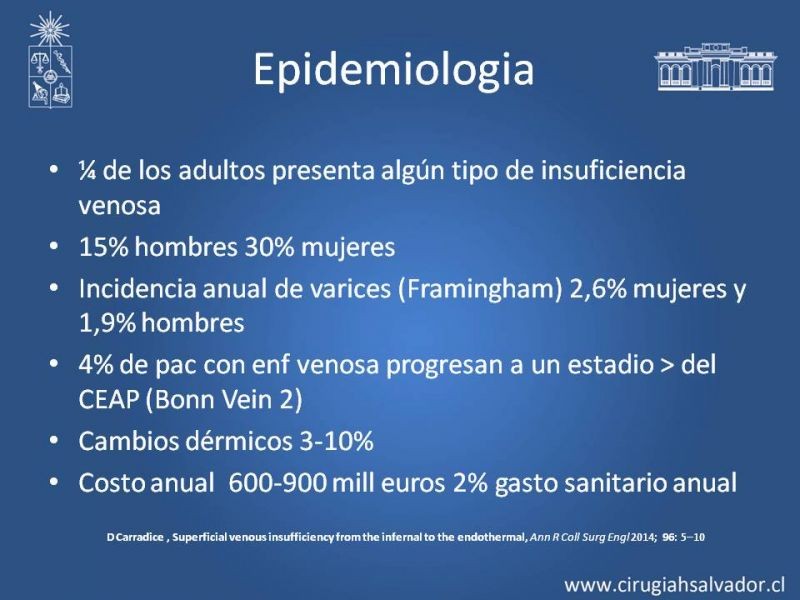 Diapositiva 2 de Insuficiencia venosa superficial