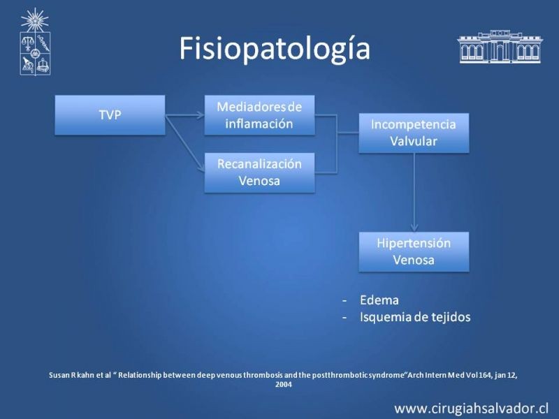 Diapositiva 3 de Síndrome Postflebítico