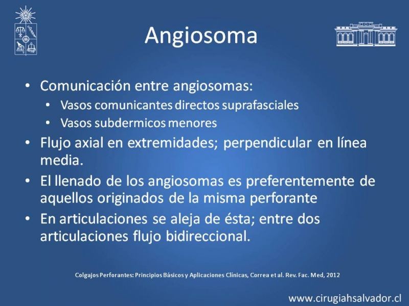 Diapositiva 7 de Usos de Colgajos Perforantes