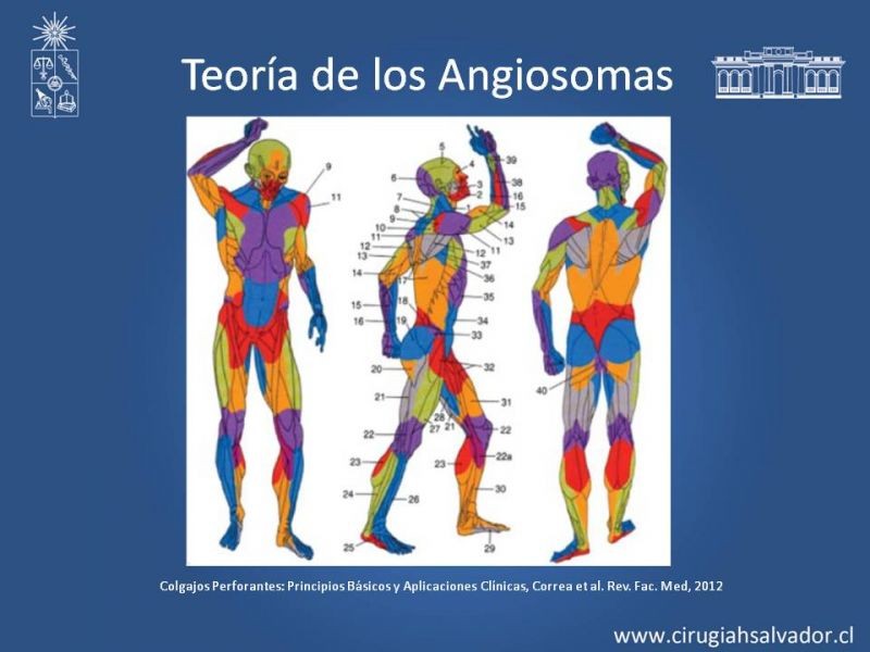 Diapositiva 6 de Usos de Colgajos Perforantes