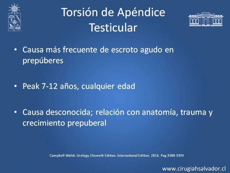 Diapositiva 19 de Manejo de Escroto Agudo