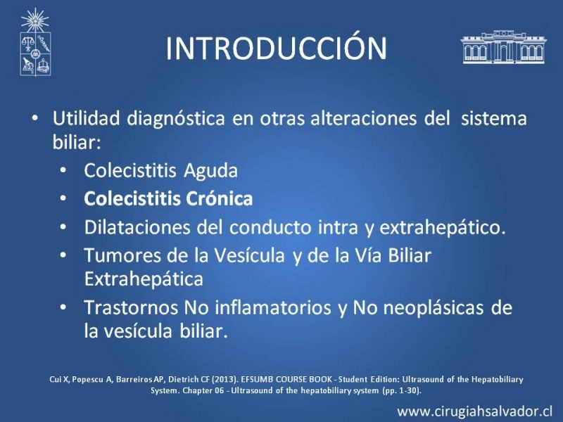 Diapositiva 4 de Vesícula Escleroatrófica