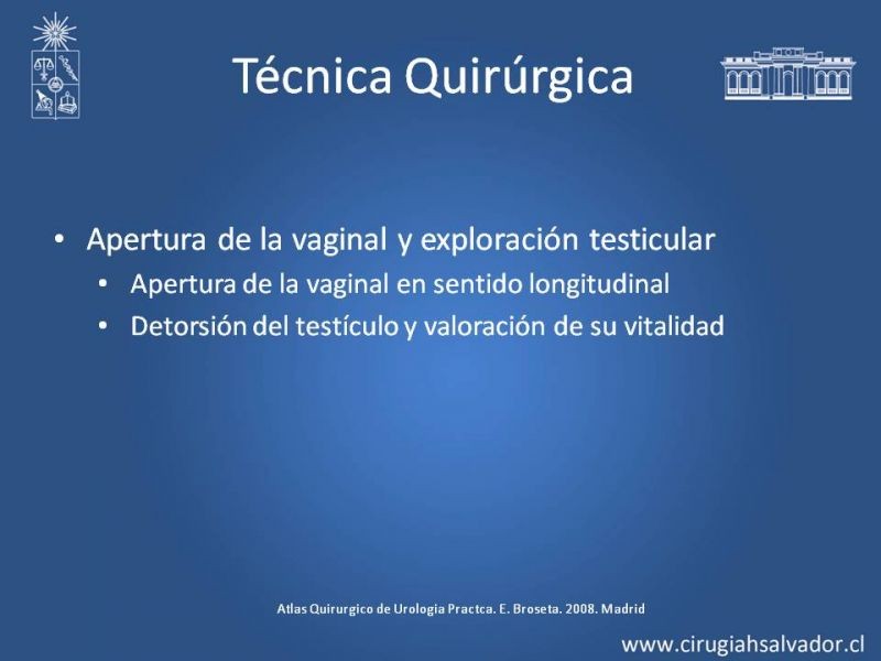Diapositiva 14 de Manejo de Escroto Agudo