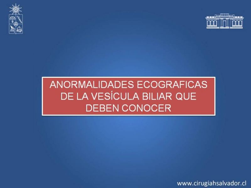 Diapositiva 12 de Vesícula Escleroatrófica