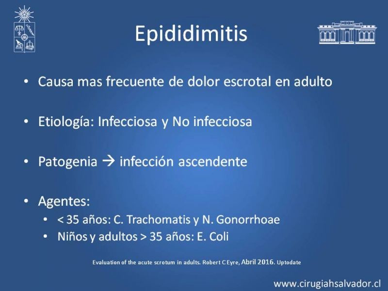 Diapositiva 22 de Manejo de Escroto Agudo