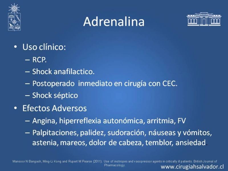Diapositiva 7 de Drogas vasoactivas
