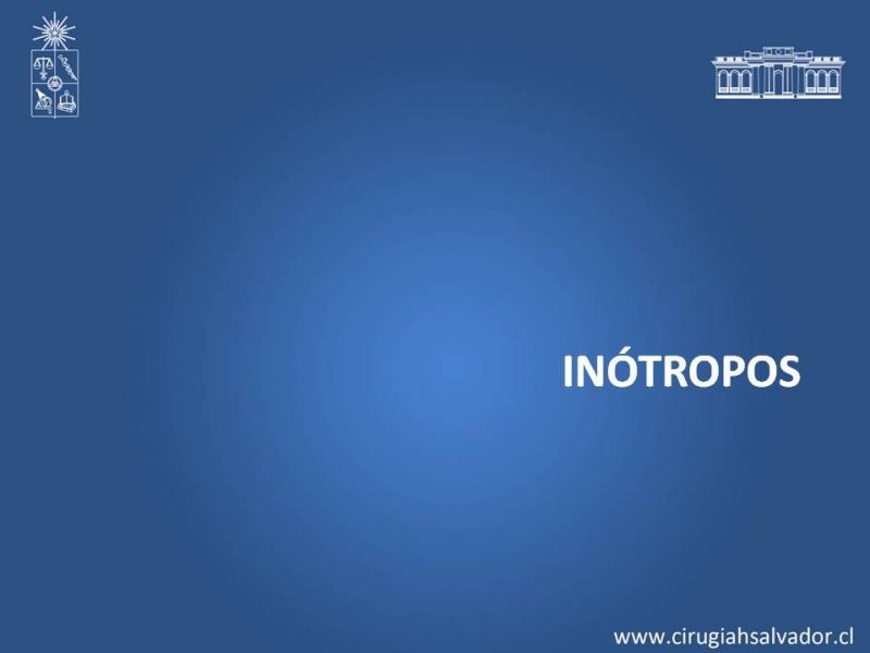 Diapositiva 15 de Drogas vasoactivas