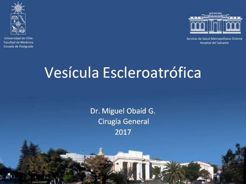 Diapositiva 66 de Vesícula Escleroatrófica