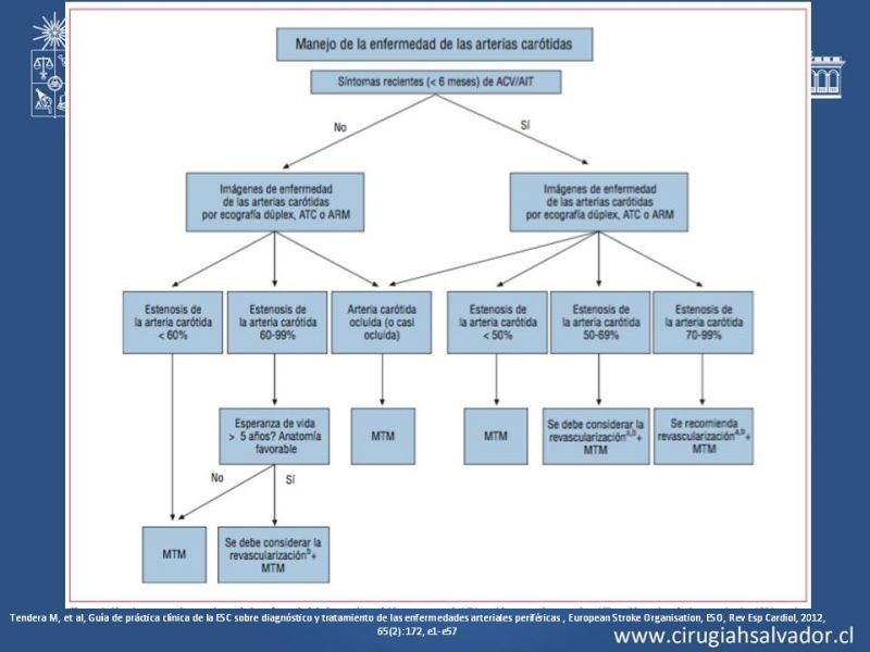 Diapositiva 35 de Estenosis Carotidea: Estudio y manejo quirúrgico