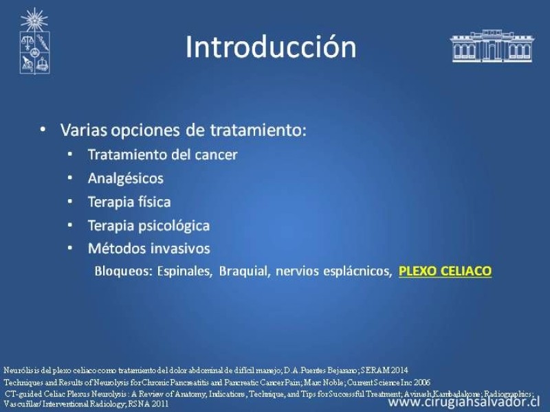 Diapositiva 3 de Alcoholización Plexo Solar