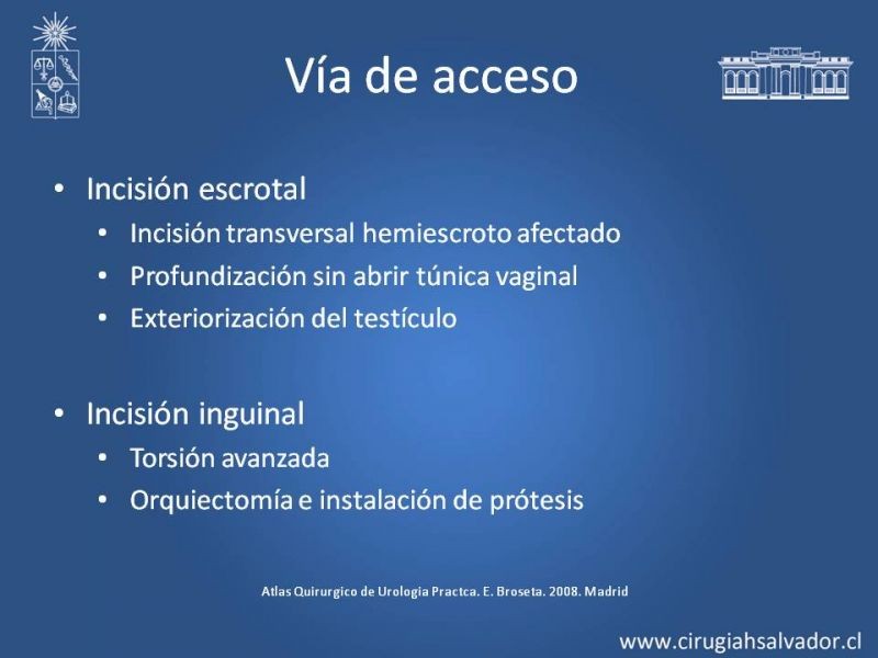 Diapositiva 13 de Manejo de Escroto Agudo