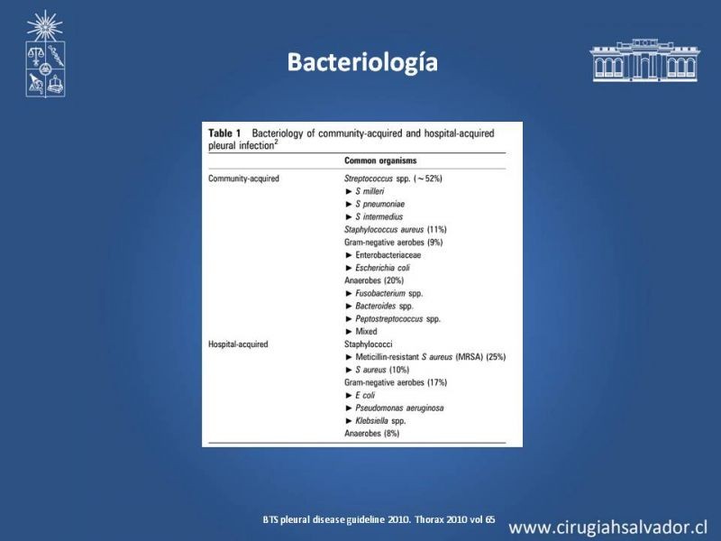 Diapositiva 10 de Empiema