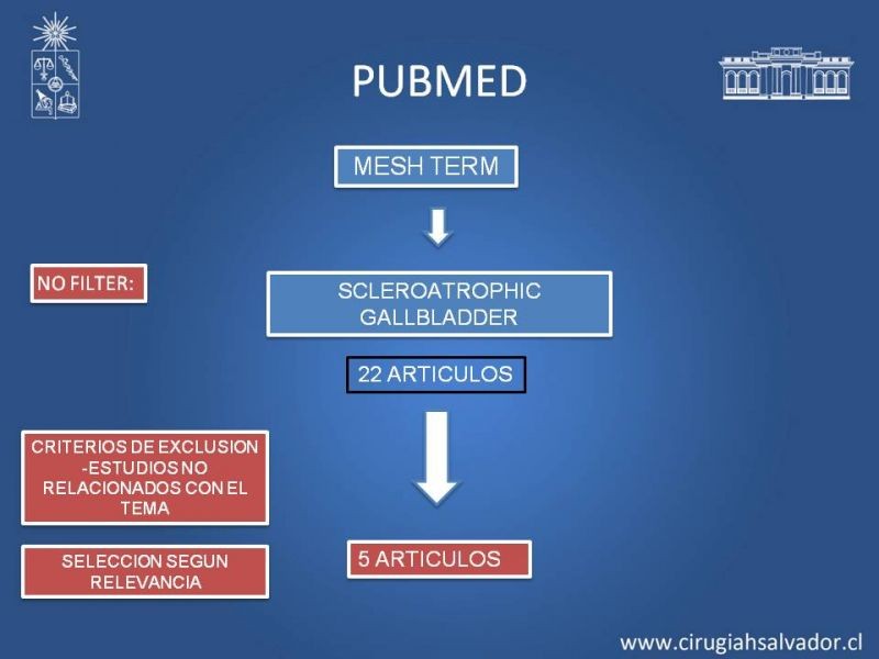 Diapositiva 27 de Vesícula Escleroatrófica