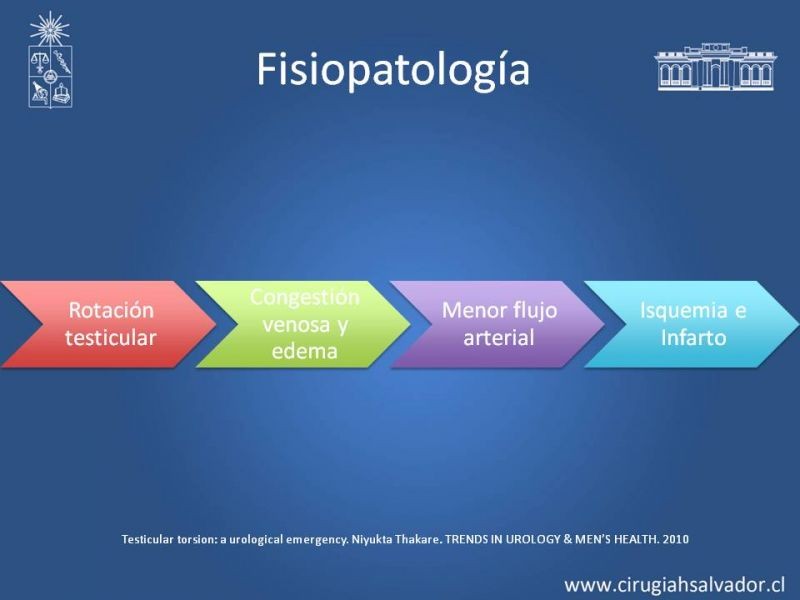 Diapositiva 6 de Manejo de Escroto Agudo