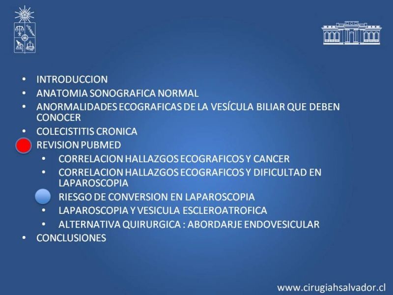 Diapositiva 44 de Vesícula Escleroatrófica